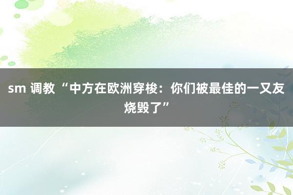 sm 调教 “中方在欧洲穿梭：你们被最佳的一又友烧毁了”