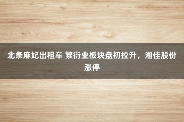 北条麻妃出租车 繁衍业板块盘初拉升，湘佳股份涨停