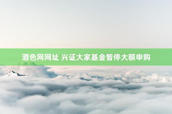 酒色网网址 兴证大家基金暂停大额申购