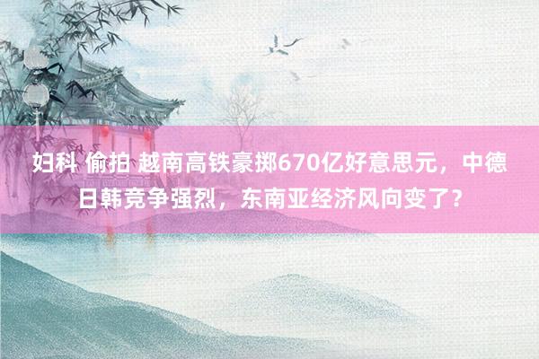 妇科 偷拍 越南高铁豪掷670亿好意思元，中德日韩竞争强烈，东南亚经济风向变了？