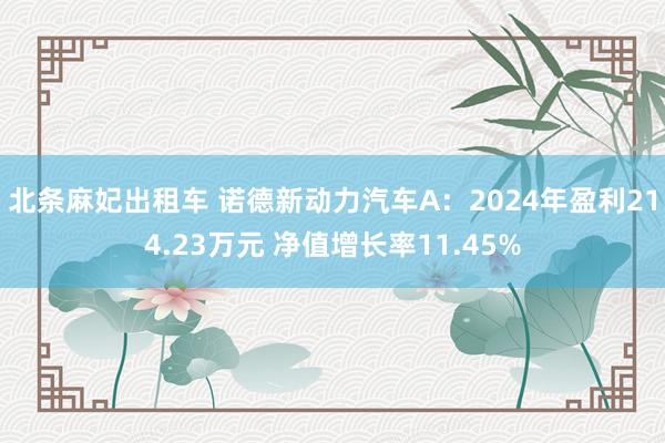 北条麻妃出租车 诺德新动力汽车A：2024年盈利214.23万元 净值增长率11.45%