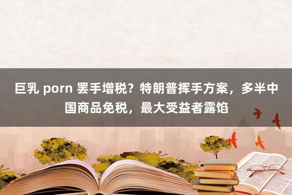 巨乳 porn 罢手增税？特朗普挥手方案，多半中国商品免税，最大受益者露馅