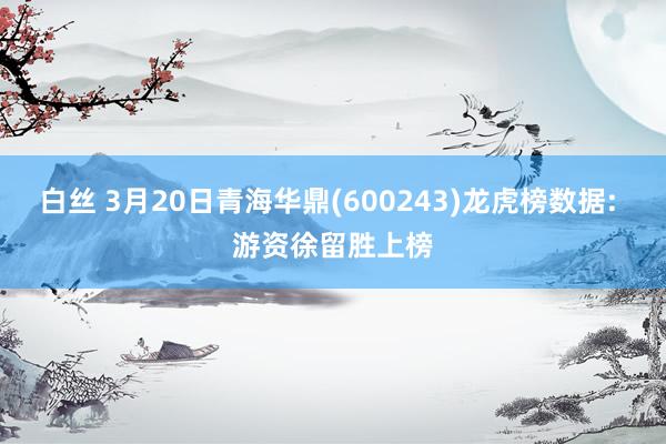 白丝 3月20日青海华鼎(600243)龙虎榜数据: 游资徐留胜上榜